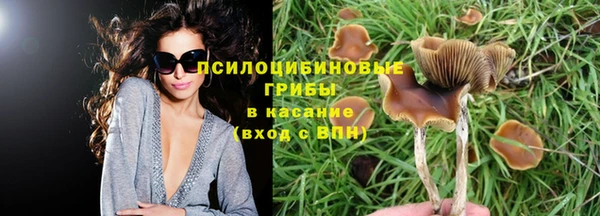 прущая мука Магас