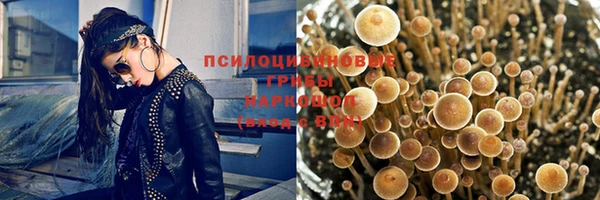 тгк Алзамай