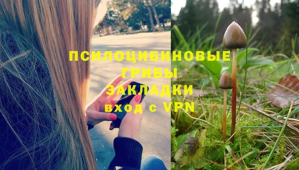 тгк Алзамай