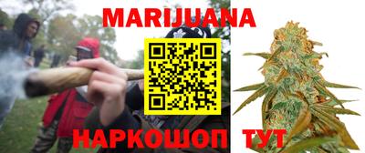 сатива Пенза