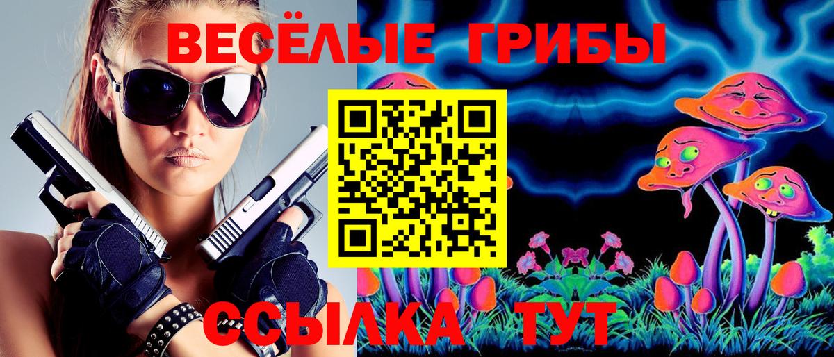Псилоцибиновые грибы мицелий Чусовой